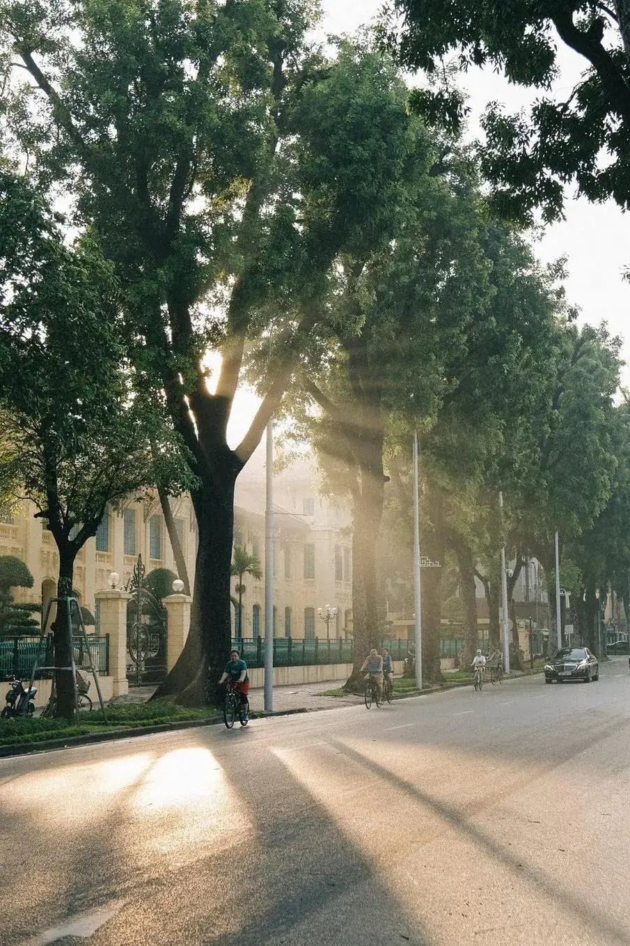 Зелёная улица вьетнамского города на рассвете с велосипедистами